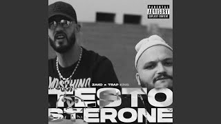 Testostérone feat Trap King [upl. by Diego]