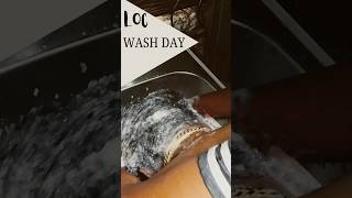 Washing 6 year old locs locsjourney locs hair [upl. by Aim180]