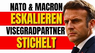 Fico enthüllt NATO und EU planen Truppen für die Ukraine – Macron drängt auf Umsetzung [upl. by Edva]