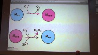 32 Kevin Aherns Biochemistry  ETS and Oxidative Phosphorylation [upl. by Eyssej636]