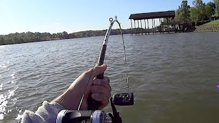 Springtime Fishing for BIG Catfish with Live and Cut Bait [upl. by Emmi]