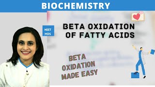 You Wont Believe the Power of Beta Oxidation in Fatty Acid Metabolism [upl. by Naut]