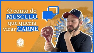 🍖  COMO É FEITO A PROCESSO DE MATURAÇÃO DA CARNE  🤘 [upl. by Ecirtel]