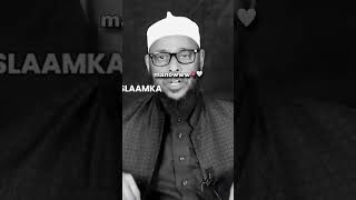 Haaska si wanagsan ula daqaan sheikh dalxalike share subscribe [upl. by Kimon879]