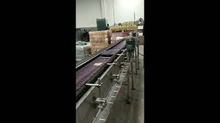 Pack conveyor for shrink wrapped packages [upl. by Yumuk917]