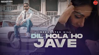 Dil Hola Ho Jave  Nachhatar Gill  Gurnam Gama  Punjabi Songs 2021  FinetouchMusic [upl. by Thorpe]