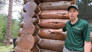 Staining and Chinking Exterior of 16 Year Old Log Home Part 3 [upl. by Ennaillij]