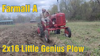 Farmall A Plowing with a Little Genius 2x16 Plow [upl. by Llohcin21]