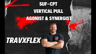 Vertical Pull Agonist amp Synergist [upl. by Lebiram882]