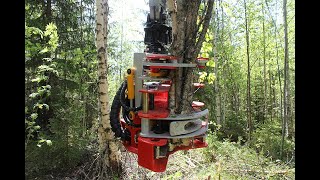 Nisula 285E accumulating energy wood head working in Latvia [upl. by Mundford]