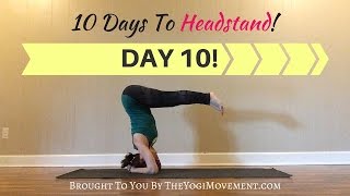 Headstand Challenge Day 10 Learning Headstand for Beginners [upl. by Horatius]