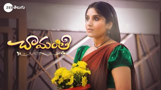 Chamanthi Launch Promo  Meghna Lokesh as Chamanthi  Brand New Serial  Coming Soon  Zee Telugu [upl. by Elmo]