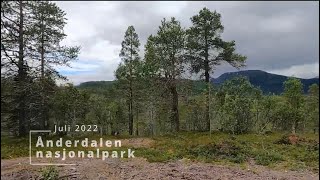 Ånderdalen nasjonalpark juli 2022 [upl. by Stoddart]