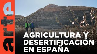 Desertificación un nuevo campo de batalla  ARTEtv Documentales [upl. by Nirual]