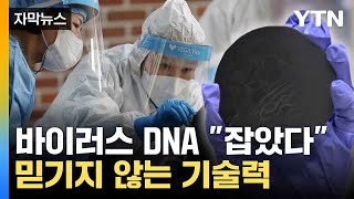 자막뉴스 국내 연구진의 놀라운 기술력 획기적으로 감염 밝혀내  YTN [upl. by Trebliw]