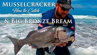 MUSSELCRACKER amp BRONZE BREAM in one spot HOW TO CATCH THEM [upl. by Ludie]