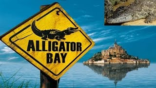 Aligator Bay  Crocodylus niloticus Crocodylus parosus  082016 [upl. by Dorian243]