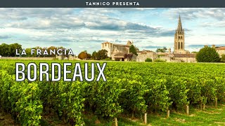 Le caratteristiche del vino di Bordeaux  Tannico Flying School [upl. by Edahsalof]