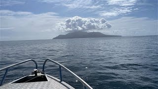 SOLO mission Spearfishing Shallow water  New Zealand [upl. by Brock]