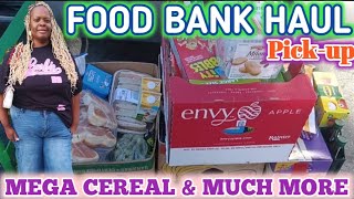 FRUGAL LIVING ON FREE GROCERIES  MOM OF 7  FOOD BANK HAUL [upl. by Nebuer]