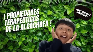 La Alcachofa Un Tesoro Natural para la Salud Humanaquot [upl. by Areip]