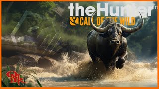 Parkour on Parque  CROSSBOW vs WATER BUFFALO  theHunter Call of the Wild [upl. by Harty395]