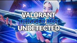 Valorant Triggerbot  Obamacheese [upl. by Sayce]