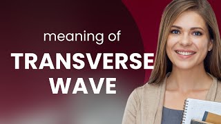 Understanding Transverse Waves A Guide to Wave Mechanics [upl. by Mansur]