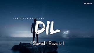 Dil  Lofi Slowed  Reverb  Raghav Chaitanya  SR Lofi [upl. by Mara370]