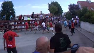 2º Encierro Fiestas de Loeches Madrid 1492014 [upl. by Grekin756]