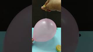 balloonexperiment Balloon  Lemon Lemon pop the balloon [upl. by Dahaf431]