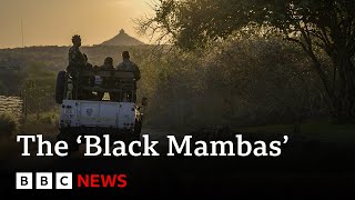 South Africa’s ‘Black Mamba’ antipoaching unit  BBC News [upl. by Garrek885]