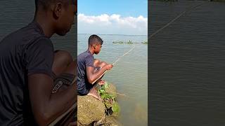 Fishing। shrimp fishing। fishing life [upl. by Ange325]