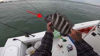 Its That time of year again  Fishing Rock Jetties for Hard Fighting SHEEPSHEAD [upl. by Maximo]