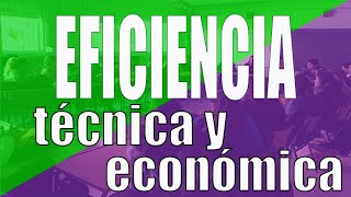 Eficiencia técnica y económica [upl. by Ondrej205]