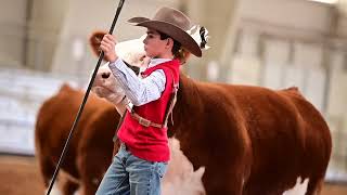 2023 Sandhills Stock Show Highlight  Part 1 [upl. by Gnuy]