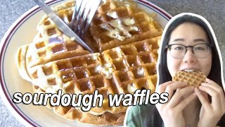 How to Make Sourdough Discard Waffles [upl. by Leuqim710]