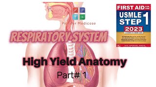 Anatomy of Respiratory System from First Aid step 1part 1USMLE FCPS part 1 NLE PrepUrduHindi [upl. by Leede715]