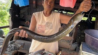 Unbelievable Long Eel Fish Skinning amp Cutting By Village Gandma  Fish Cutting Skills Sri Lanka [upl. by Fish]