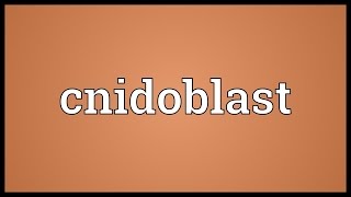 Cnidoblast Meaning [upl. by Armalda187]