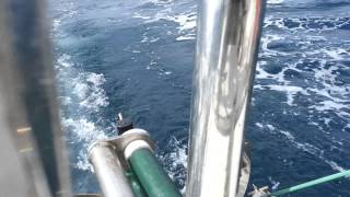 Yacht Self steering gear Home made [upl. by Nisbet]