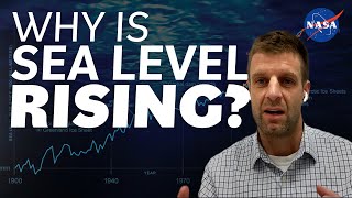 Why is Sea Level Rising We Asked a NASA Scientist [upl. by Turley710]