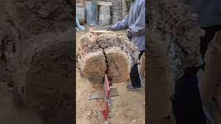 Wood splitting ax wood splitting method 18 [upl. by Siramaj]