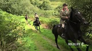 Devon and Somerset Staghounds at Redgate Farm [upl. by Adiaros]