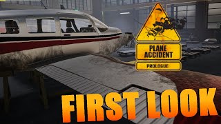 Plane Accident  Gameplay [upl. by Weinert]