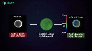 QField™ 10X faster 3D scan without compromising assay performance [upl. by Vareck25]