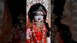 radhakrishna shortvideos shortsviral youtubevideo today plesesubscribe and like kre 🙏🙏🙏🙏🙏🙏 [upl. by Ahsoym]