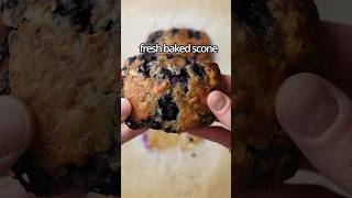 Freezer Scone Method baking scones shorts [upl. by Oglesby259]