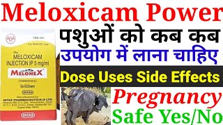 Melonex Power Injection Veterinary MedicineFeverAntiInflammatory And Analgesics Melonex Bolus vet [upl. by Montgomery]