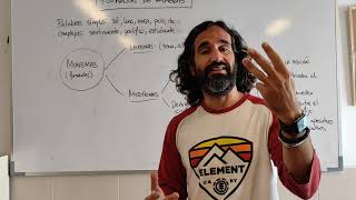 Las clases de Dani Morfología Tipos de monemas [upl. by Pembroke]